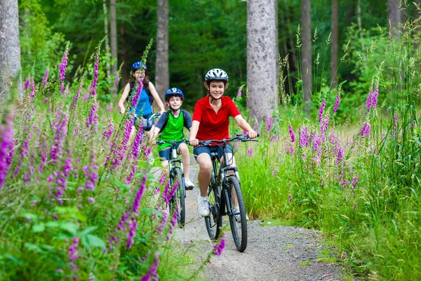 Ciclismo Familiar Bosque —  Fotos de Stock