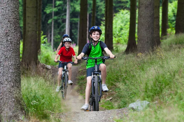 健康的生活方式 家庭骑山地自行车 — 图库照片