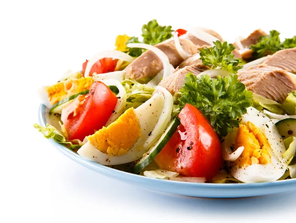 Tuna Vegetable Salad — Stock Photo, Image