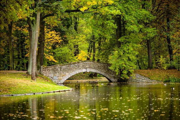 Pont Brique Dans Parc — Photo