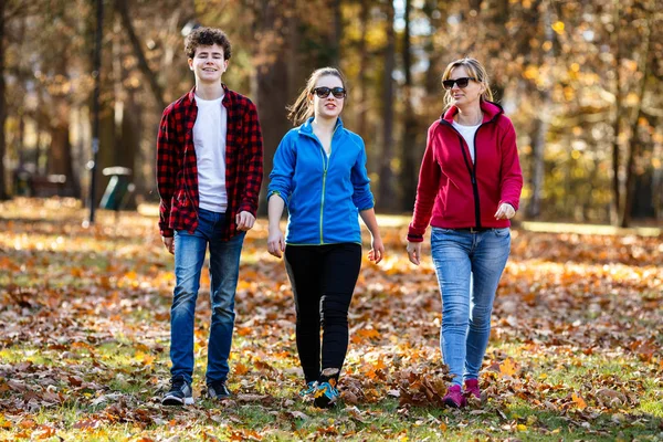 Familie Wandelingen Het Park Herfst Tijd — Stockfoto