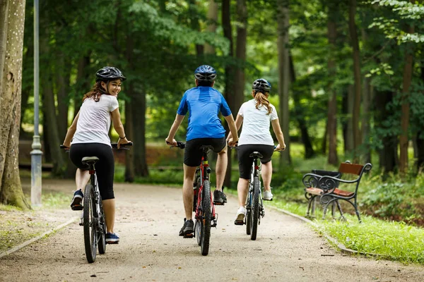 Vista Trasera Familia Divirtiéndose Montando Bicicletas Parque —  Fotos de Stock