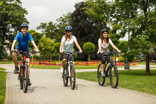 Família Três Bicicletas Equitação Parque Verão — Fotografia de Stock