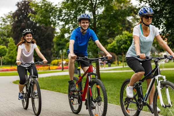 Familia Tres Bicicletas Montar Parque Verano —  Fotos de Stock