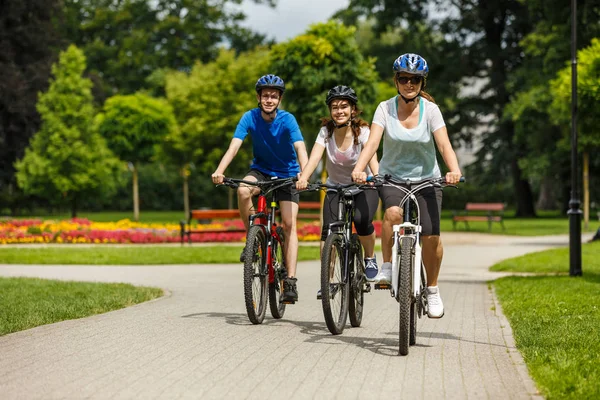 Family Three Riding Bikes Summer Park — Stockfoto