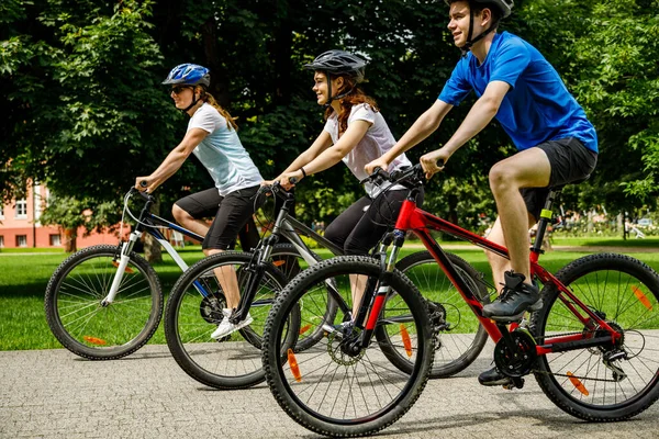 Aktiv Familj Ridning Cyklar Sommar Park Med Färgglada Blommor Bakgrunden — Stockfoto