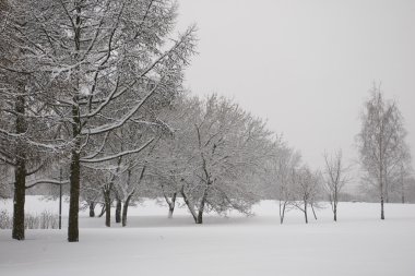 Güzel kış manzarası