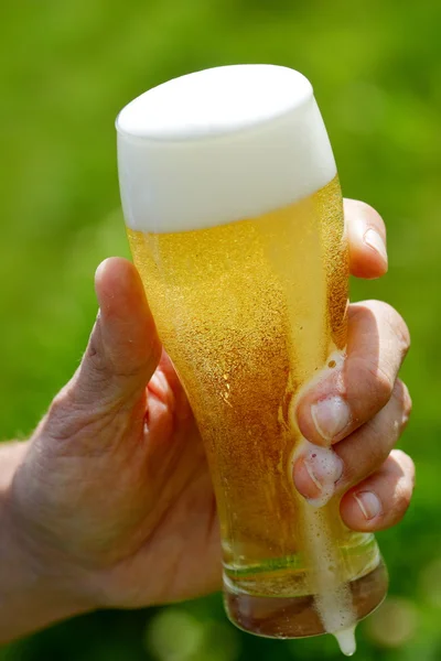 手持ち株の冷たいビール — ストック写真