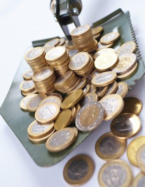 Euro madeni paralarla kürek 