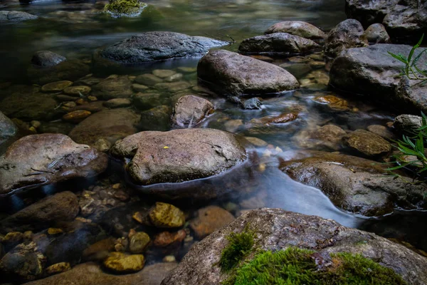 Bellissimo ruscello nella foresta — Foto Stock