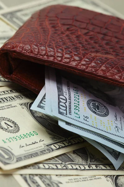 Brown wallet with money — Stock Photo, Image