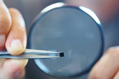 mikroçip cımbız ile yakın çekim