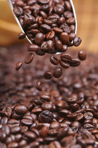 Kaffeebohnen mit Metalllöffel — Stockfoto