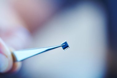 mikroçip cımbız ile yakın çekim