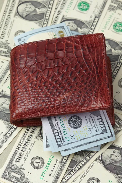 Billetera marrón con dinero — Foto de Stock