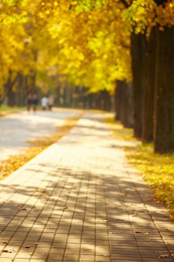 Parkta sonbahar günü