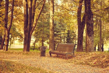 Parkta sonbahar günü