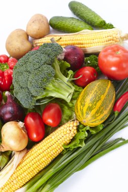 taze sağlıklı sebze