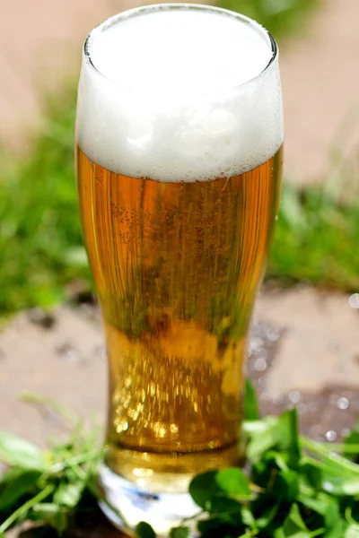 Cold beer in glass — Stok fotoğraf