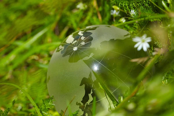 Glazen bol in het gras — Stockfoto