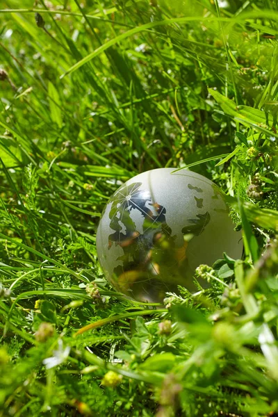 Glaskugel im Gras — Stockfoto