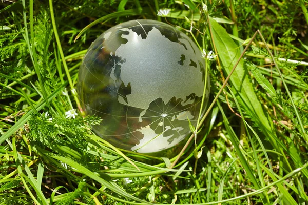 Globe Verre Dans Herbe Verte Gros Plan — Photo