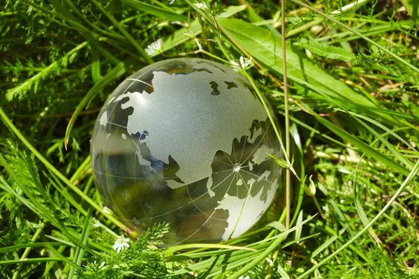 Globo de vidro na grama — Fotografia de Stock