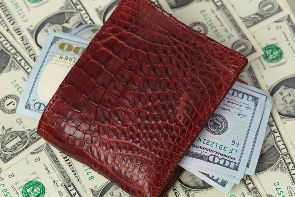 Billetera marrón con dinero — Foto de Stock