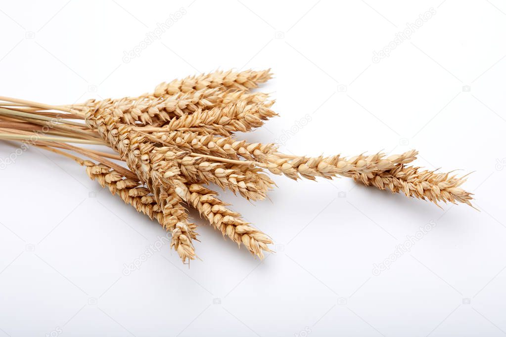 Dry cereal plant