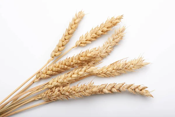 Kuru tahıl bitkiler 