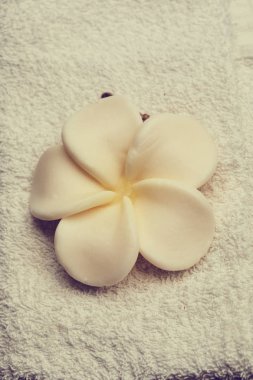 Spa konseptiyle çiçek