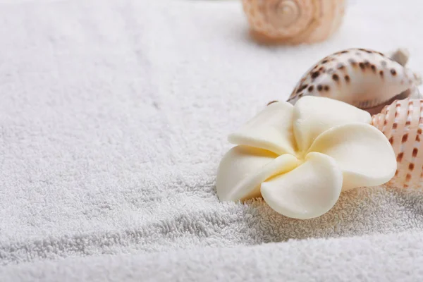 Spa concept with flower — Stock Photo, Image