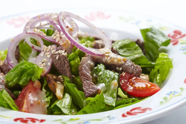 Insalata di carne saporita — Foto Stock