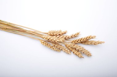 Kuru tahıl bitkiler 