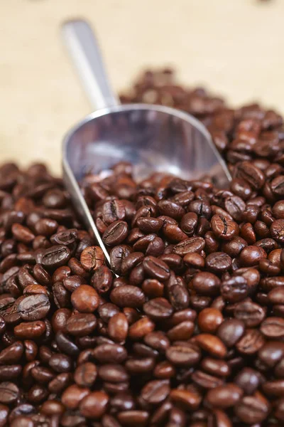 Cuchara en granos de café — Foto de Stock