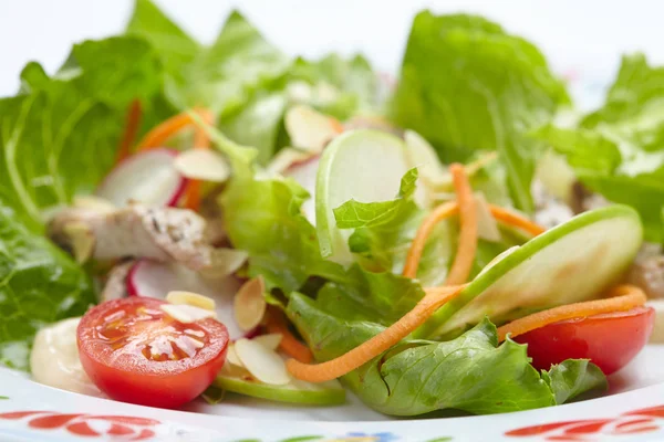 Salada fresca saborosa — Fotografia de Stock