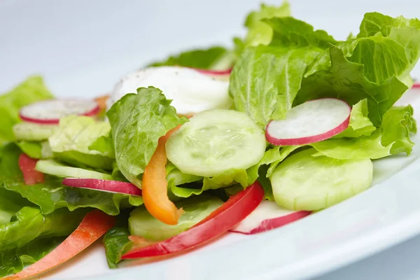 Lekkere frisse salade — Stockfoto