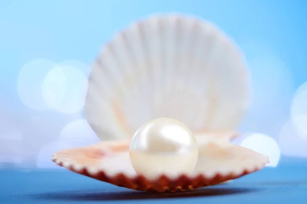 Perlas en concha abierta — Foto de Stock