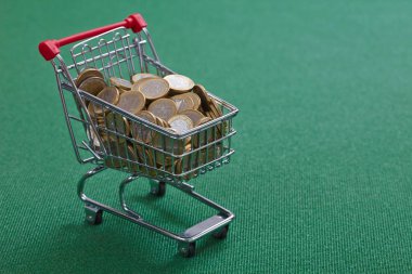 Alışveriş sepetindeki paralar