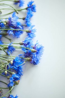 Peygamber, mavi çiçekler