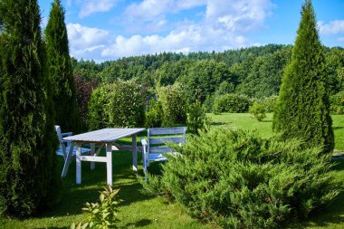 veranda yakınındaki güzel ağaçlar