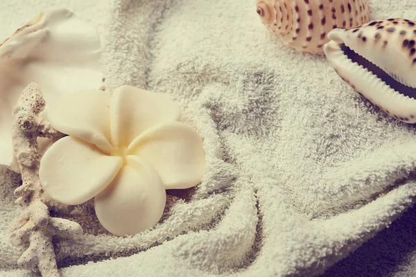 Λευκό λουλούδι στην πετσέτα — Φωτογραφία Αρχείου