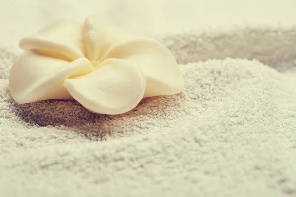 White flower on towel — Stock Photo, Image