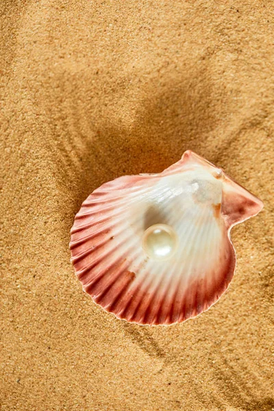 Perla en concha abierta en la playa —  Fotos de Stock