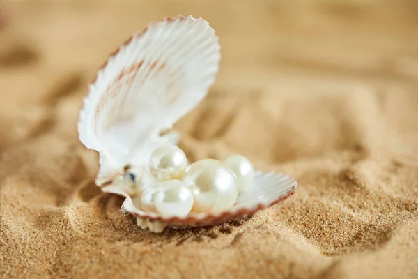 Pérolas em casca aberta na praia — Fotografia de Stock