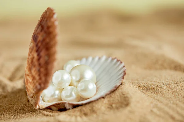 Perles en coquille ouverte sur la plage — Photo