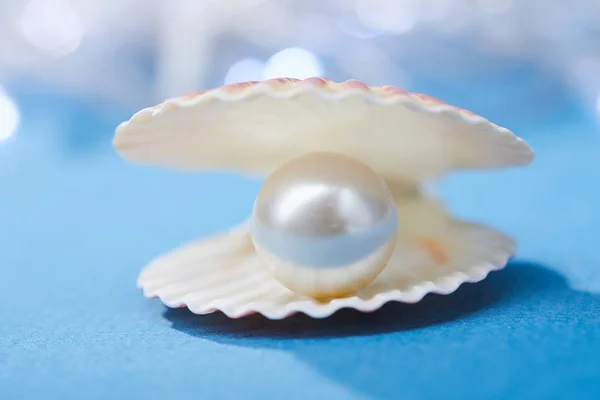 Pearl In Open Shell — Stockfoto