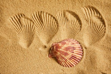 Shell Kum plajındaki