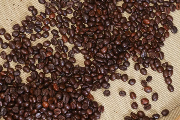 Świeże ziarna kawy — Zdjęcie stockowe