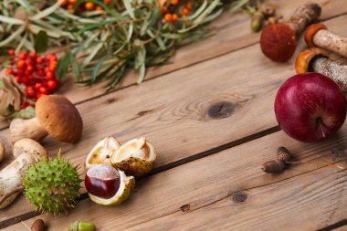 Tablo sonbahar kompozisyonu